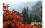 春節(jié)期間：張家界、天子山、金鞭溪自駕車精華精品游