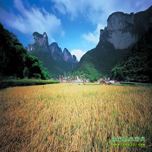 張家界往返純玩散拼：矮寨大橋、德夯苗寨、鳳凰古城、芙蓉鎮(zhèn)二日游